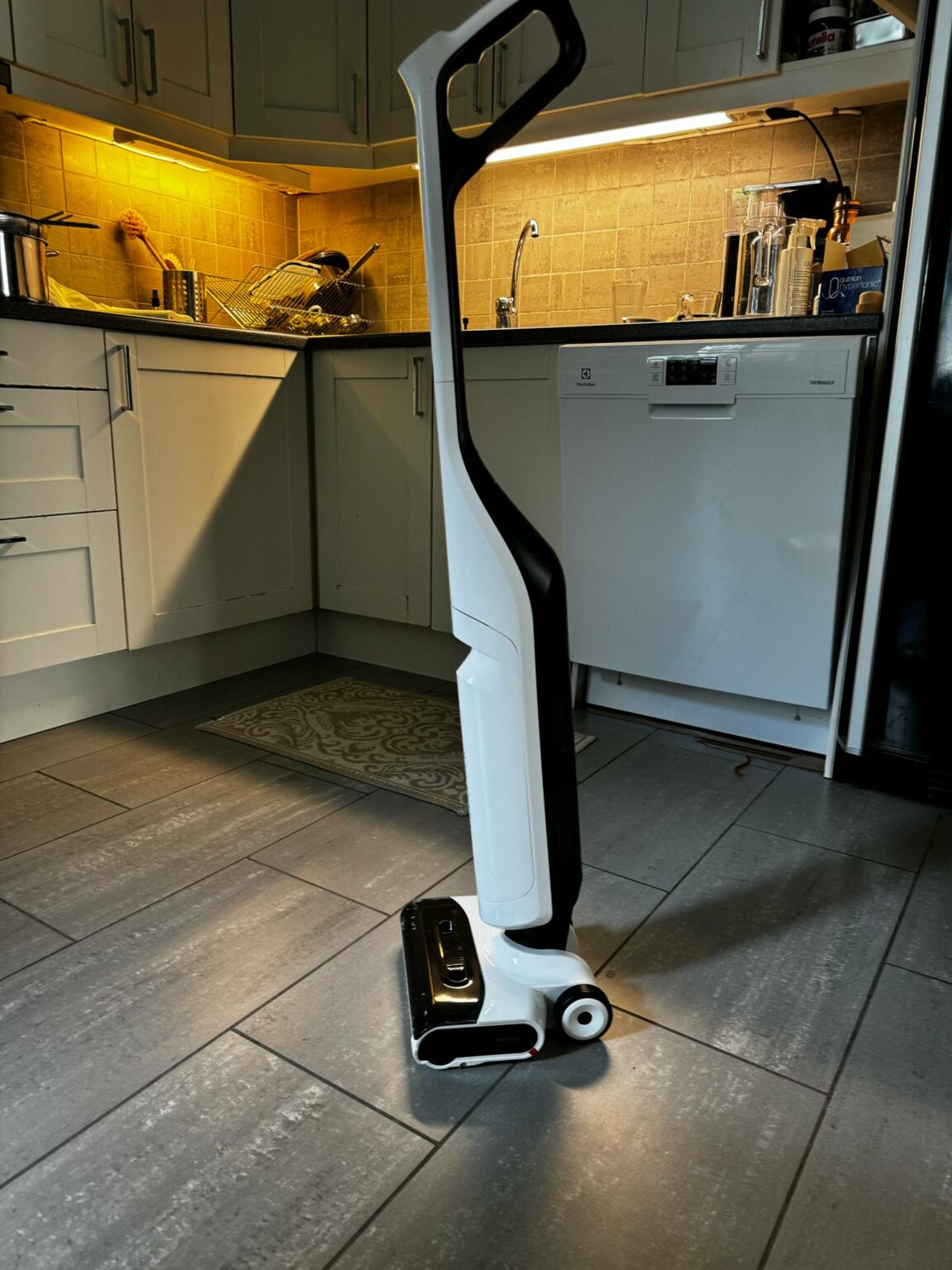 Roborock Flexi Lite 1