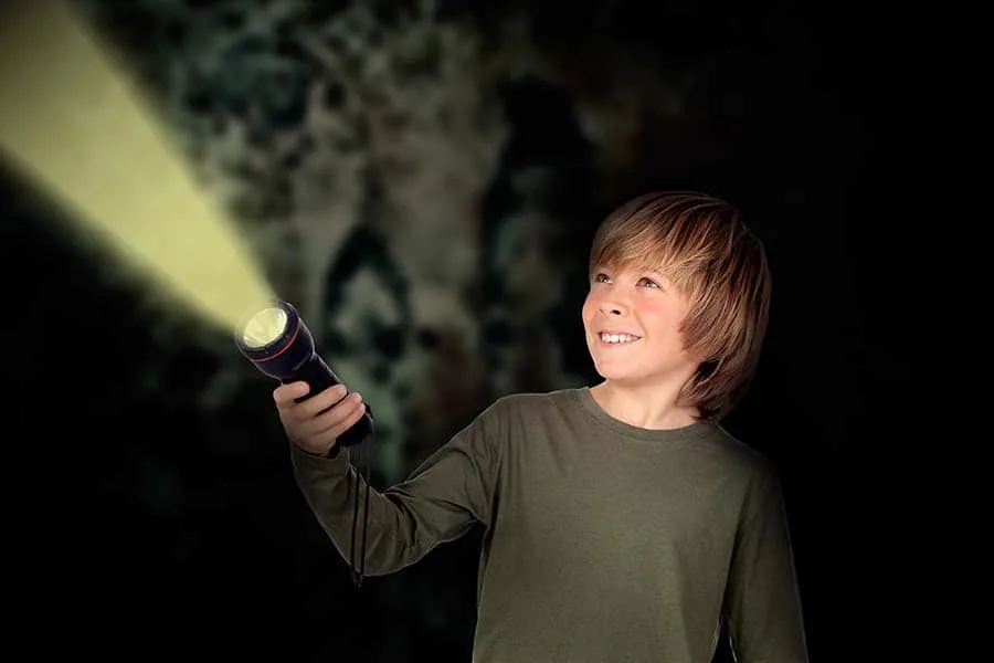 barn med ficklampa