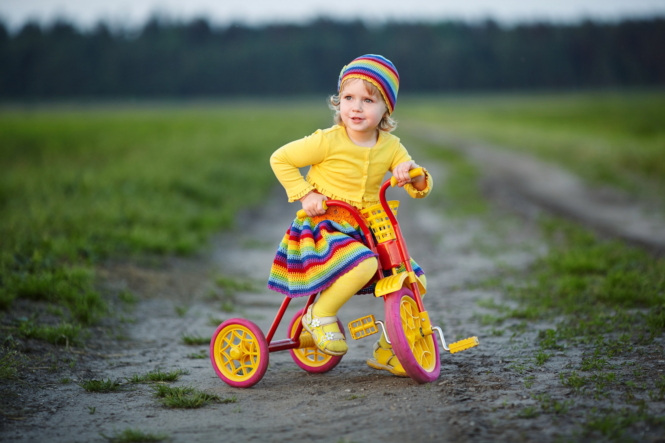 tricycle